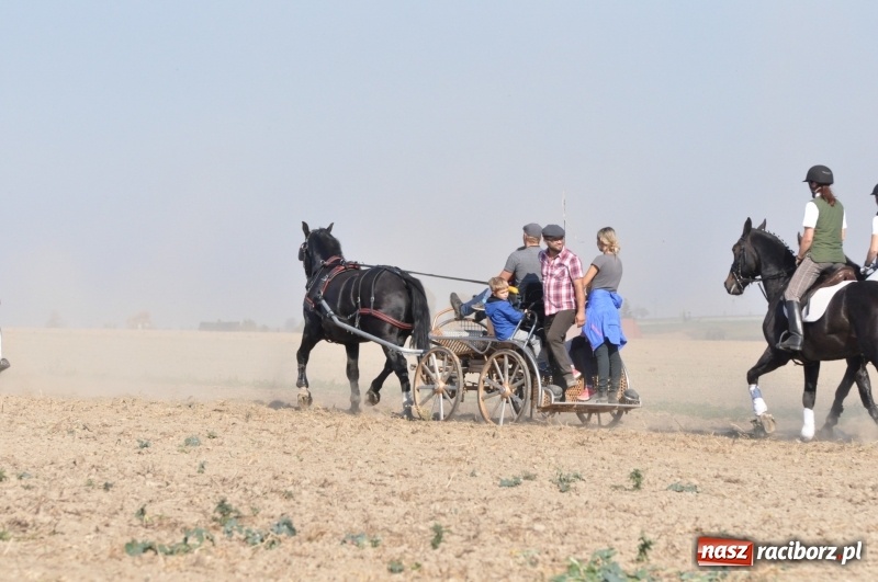 Zdjęcie w galerii na portalu naszraciborz.pl: Przez lasy, pola i łąki na pogoń za lisem. Hubertus w Żerdzinach 2018 VIDEO wiadomości z regionu