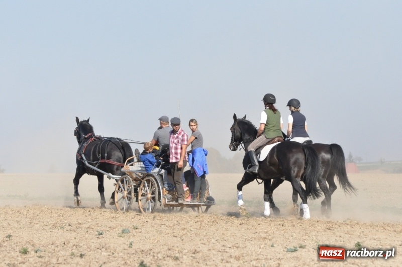 Zdjęcie w galerii na portalu naszraciborz.pl: Przez lasy, pola i łąki na pogoń za lisem. Hubertus w Żerdzinach 2018 VIDEO wiadomości z regionu
