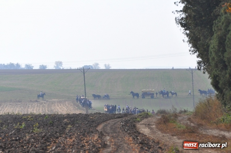 Zdjęcie w galerii na portalu naszraciborz.pl: Przez lasy, pola i łąki na pogoń za lisem. Hubertus w Żerdzinach 2018 VIDEO wiadomości z regionu