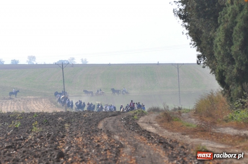 Zdjęcie w galerii na portalu naszraciborz.pl: Przez lasy, pola i łąki na pogoń za lisem. Hubertus w Żerdzinach 2018 VIDEO wiadomości z regionu