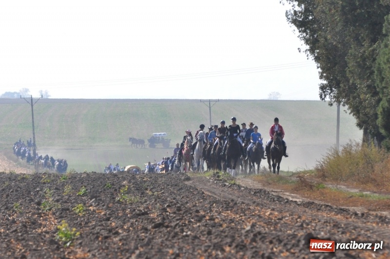 Zdjęcie w galerii na portalu naszraciborz.pl: Przez lasy, pola i łąki na pogoń za lisem. Hubertus w Żerdzinach 2018 VIDEO wiadomości z regionu