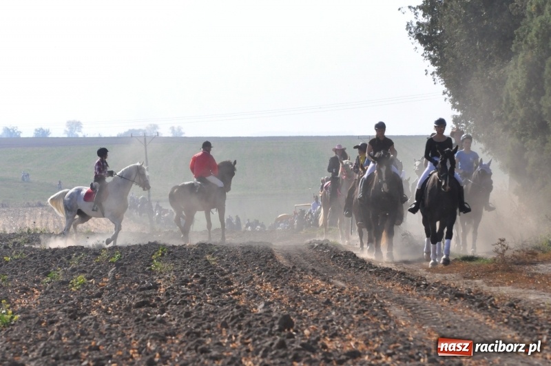 Zdjęcie w galerii na portalu naszraciborz.pl: Przez lasy, pola i łąki na pogoń za lisem. Hubertus w Żerdzinach 2018 VIDEO wiadomości z regionu