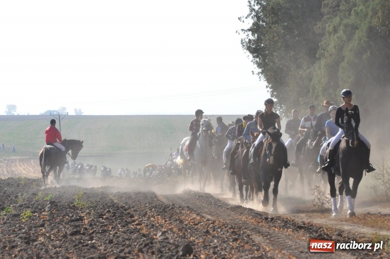 Zdjęcie w galerii na portalu naszraciborz.pl: Przez lasy, pola i łąki na pogoń za lisem. Hubertus w Żerdzinach 2018 VIDEO wiadomości z regionu