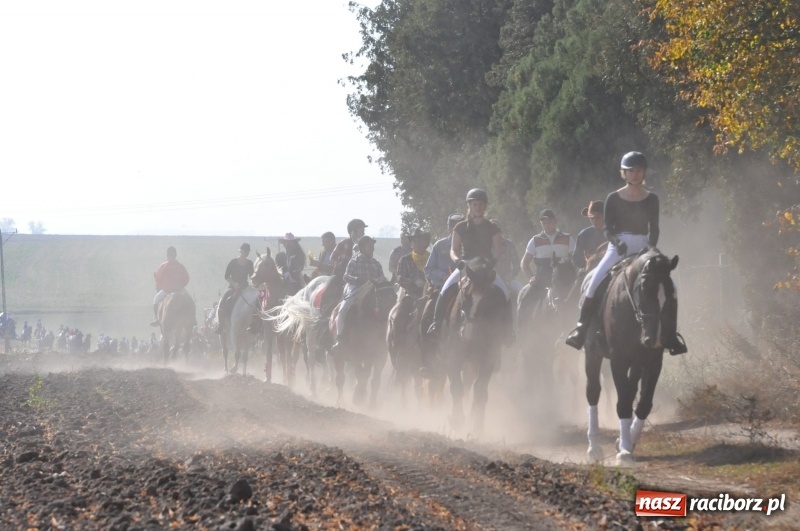Zdjęcie w galerii na portalu naszraciborz.pl: Przez lasy, pola i łąki na pogoń za lisem. Hubertus w Żerdzinach 2018 VIDEO wiadomości z regionu