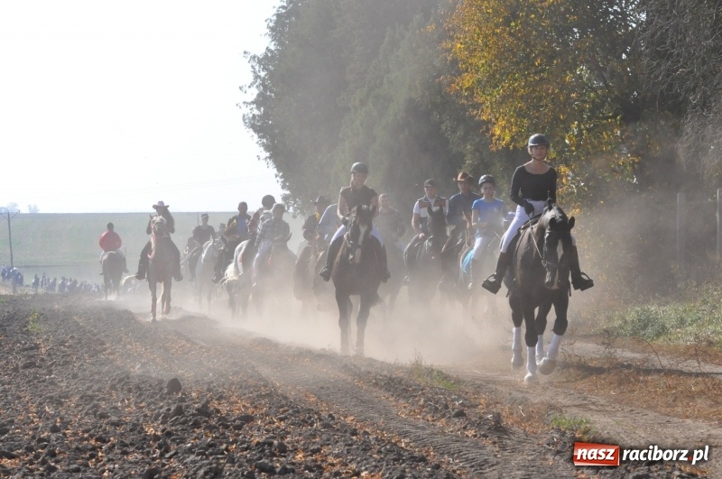 Zdjęcie w galerii na portalu naszraciborz.pl: Przez lasy, pola i łąki na pogoń za lisem. Hubertus w Żerdzinach 2018 VIDEO wiadomości z regionu