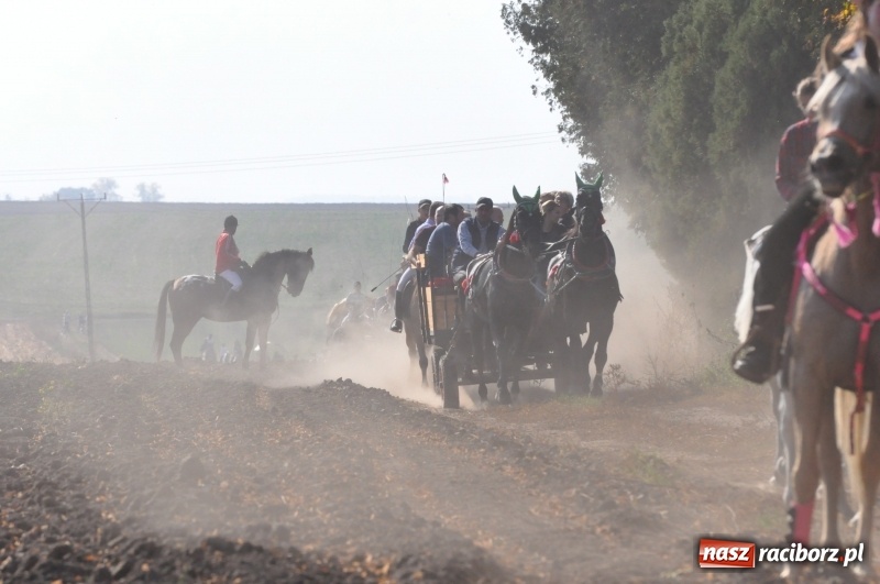 Zdjęcie w galerii na portalu naszraciborz.pl: Przez lasy, pola i łąki na pogoń za lisem. Hubertus w Żerdzinach 2018 VIDEO wiadomości z regionu