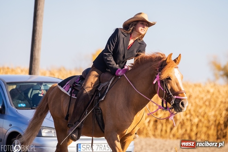 Zdjęcie w galerii na portalu naszraciborz.pl: Przez lasy, pola i łąki na pogoń za lisem. Hubertus w Żerdzinach 2018 VIDEO wiadomości z regionu