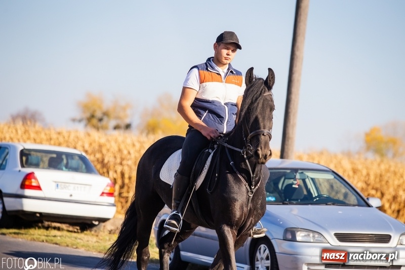 Zdjęcie w galerii na portalu naszraciborz.pl: Przez lasy, pola i łąki na pogoń za lisem. Hubertus w Żerdzinach 2018 VIDEO wiadomości z regionu