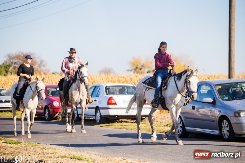 Zdjęcie w galerii na portalu naszraciborz.pl: Przez lasy, pola i łąki na pogoń za lisem. Hubertus w Żerdzinach 2018 VIDEO wiadomości z regionu