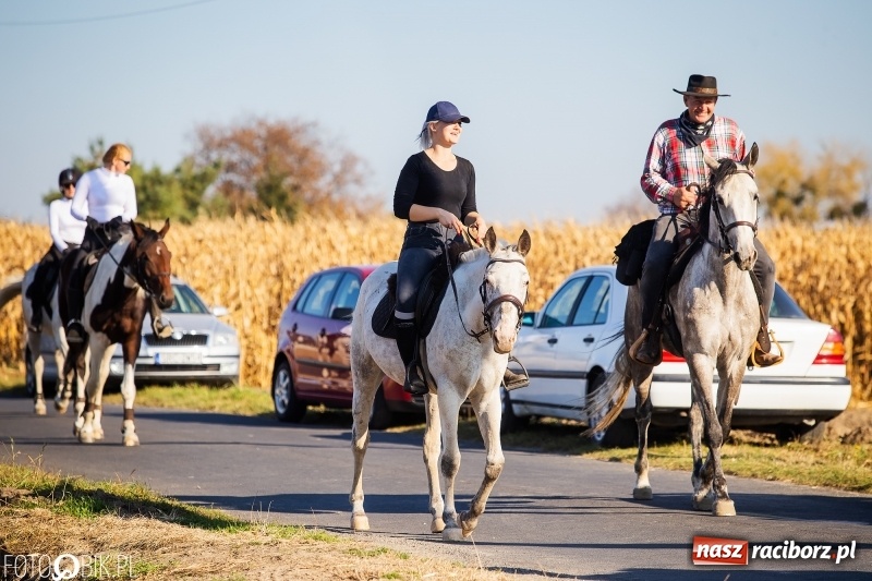 Zdjęcie w galerii na portalu naszraciborz.pl: Przez lasy, pola i łąki na pogoń za lisem. Hubertus w Żerdzinach 2018 VIDEO wiadomości z regionu