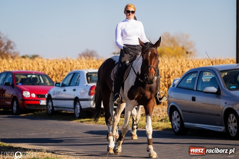 Zdjęcie w galerii na portalu naszraciborz.pl: Przez lasy, pola i łąki na pogoń za lisem. Hubertus w Żerdzinach 2018 VIDEO wiadomości z regionu