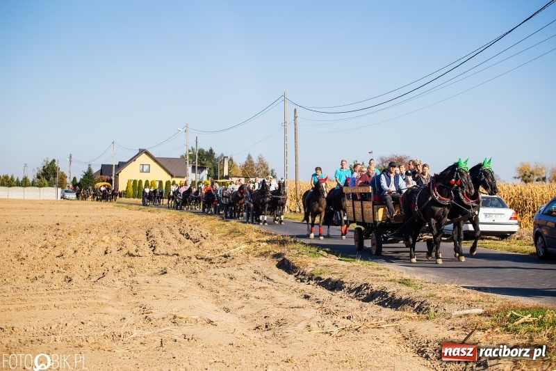 Zdjęcie w galerii na portalu naszraciborz.pl: Przez lasy, pola i łąki na pogoń za lisem. Hubertus w Żerdzinach 2018 VIDEO wiadomości z regionu