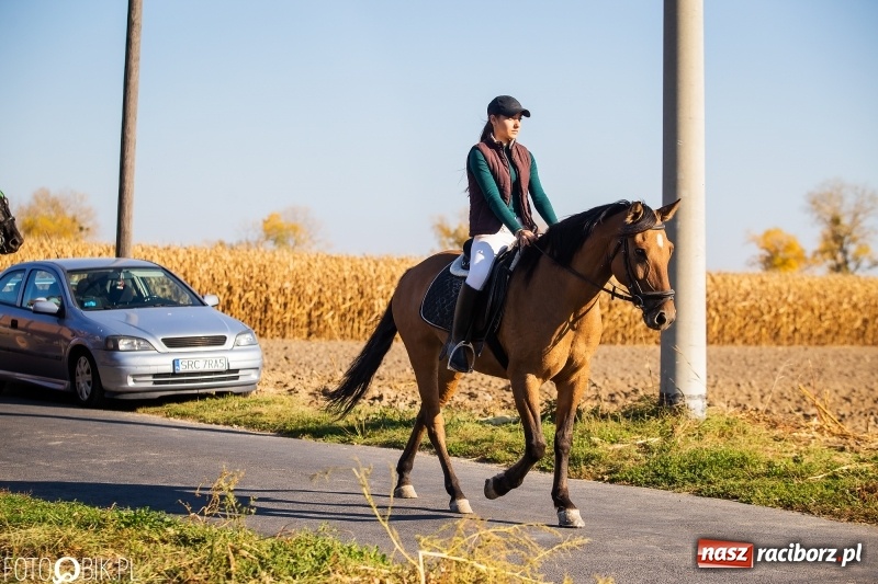 Zdjęcie w galerii na portalu naszraciborz.pl: Przez lasy, pola i łąki na pogoń za lisem. Hubertus w Żerdzinach 2018 VIDEO wiadomości z regionu