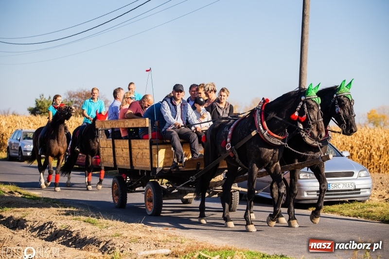 Zdjęcie w galerii na portalu naszraciborz.pl: Przez lasy, pola i łąki na pogoń za lisem. Hubertus w Żerdzinach 2018 VIDEO wiadomości z regionu