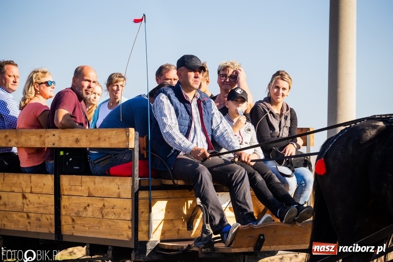Zdjęcie w galerii na portalu naszraciborz.pl: Przez lasy, pola i łąki na pogoń za lisem. Hubertus w Żerdzinach 2018 VIDEO wiadomości z regionu