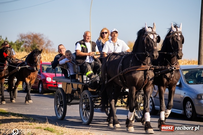 Zdjęcie w galerii na portalu naszraciborz.pl: Przez lasy, pola i łąki na pogoń za lisem. Hubertus w Żerdzinach 2018 VIDEO wiadomości z regionu
