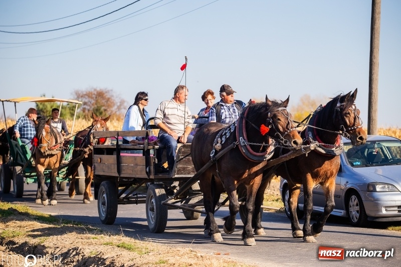 Zdjęcie w galerii na portalu naszraciborz.pl: Przez lasy, pola i łąki na pogoń za lisem. Hubertus w Żerdzinach 2018 VIDEO wiadomości z regionu