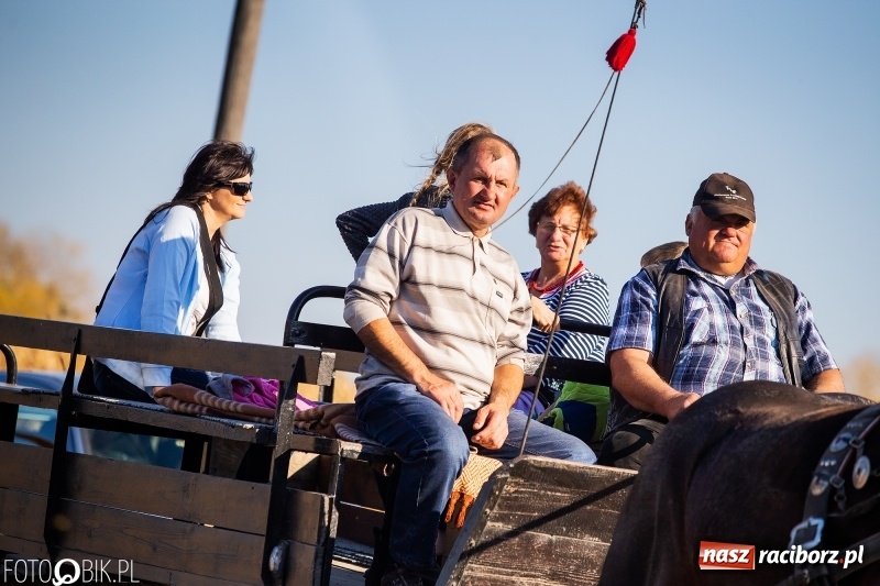 Zdjęcie w galerii na portalu naszraciborz.pl: Przez lasy, pola i łąki na pogoń za lisem. Hubertus w Żerdzinach 2018 VIDEO wiadomości z regionu