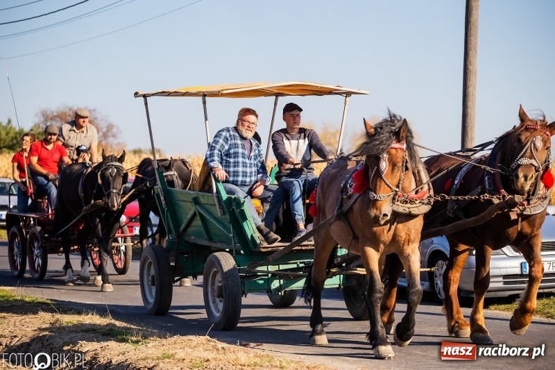 Zdjęcie w galerii na portalu naszraciborz.pl: Przez lasy, pola i łąki na pogoń za lisem. Hubertus w Żerdzinach 2018 VIDEO wiadomości z regionu