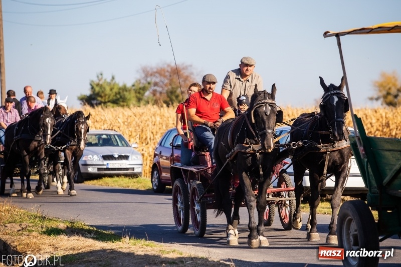 Zdjęcie w galerii na portalu naszraciborz.pl: Przez lasy, pola i łąki na pogoń za lisem. Hubertus w Żerdzinach 2018 VIDEO wiadomości z regionu