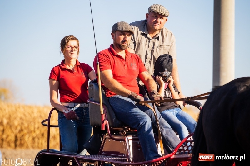 Zdjęcie w galerii na portalu naszraciborz.pl: Przez lasy, pola i łąki na pogoń za lisem. Hubertus w Żerdzinach 2018 VIDEO wiadomości z regionu