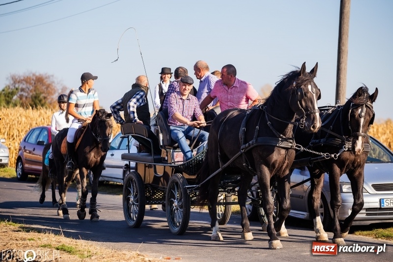 Zdjęcie w galerii na portalu naszraciborz.pl: Przez lasy, pola i łąki na pogoń za lisem. Hubertus w Żerdzinach 2018 VIDEO wiadomości z regionu