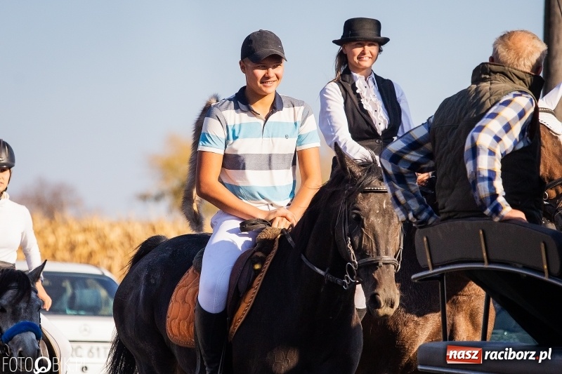 Zdjęcie w galerii na portalu naszraciborz.pl: Przez lasy, pola i łąki na pogoń za lisem. Hubertus w Żerdzinach 2018 VIDEO wiadomości z regionu
