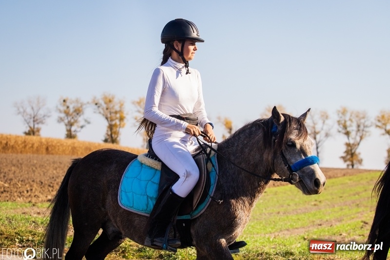 Zdjęcie w galerii na portalu naszraciborz.pl: Przez lasy, pola i łąki na pogoń za lisem. Hubertus w Żerdzinach 2018 VIDEO wiadomości z regionu