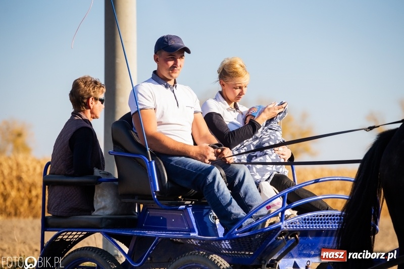 Zdjęcie w galerii na portalu naszraciborz.pl: Przez lasy, pola i łąki na pogoń za lisem. Hubertus w Żerdzinach 2018 VIDEO wiadomości z regionu