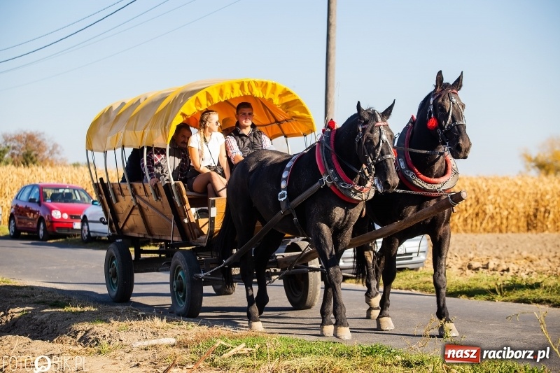 Zdjęcie w galerii na portalu naszraciborz.pl: Przez lasy, pola i łąki na pogoń za lisem. Hubertus w Żerdzinach 2018 VIDEO wiadomości z regionu