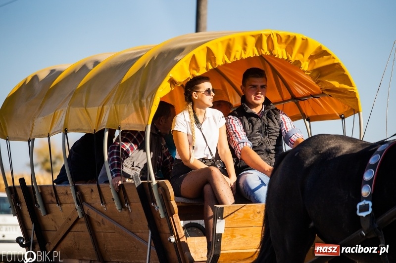 Zdjęcie w galerii na portalu naszraciborz.pl: Przez lasy, pola i łąki na pogoń za lisem. Hubertus w Żerdzinach 2018 VIDEO wiadomości z regionu