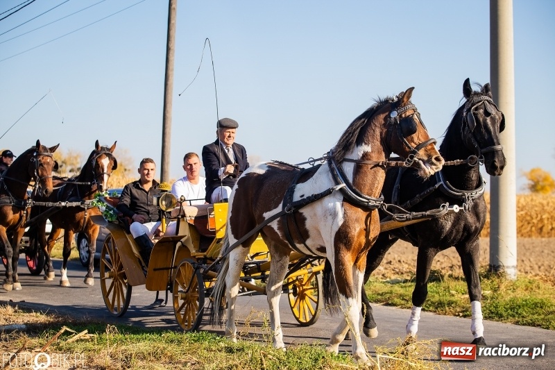 Zdjęcie w galerii na portalu naszraciborz.pl: Przez lasy, pola i łąki na pogoń za lisem. Hubertus w Żerdzinach 2018 VIDEO wiadomości z regionu
