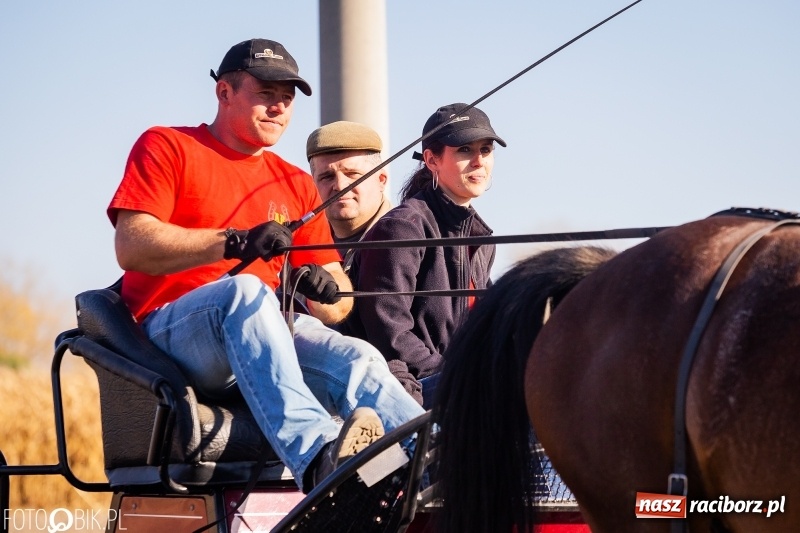 Zdjęcie w galerii na portalu naszraciborz.pl: Przez lasy, pola i łąki na pogoń za lisem. Hubertus w Żerdzinach 2018 VIDEO wiadomości z regionu