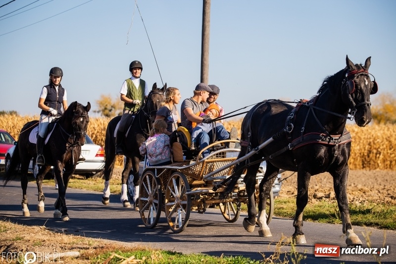 Zdjęcie w galerii na portalu naszraciborz.pl: Przez lasy, pola i łąki na pogoń za lisem. Hubertus w Żerdzinach 2018 VIDEO wiadomości z regionu