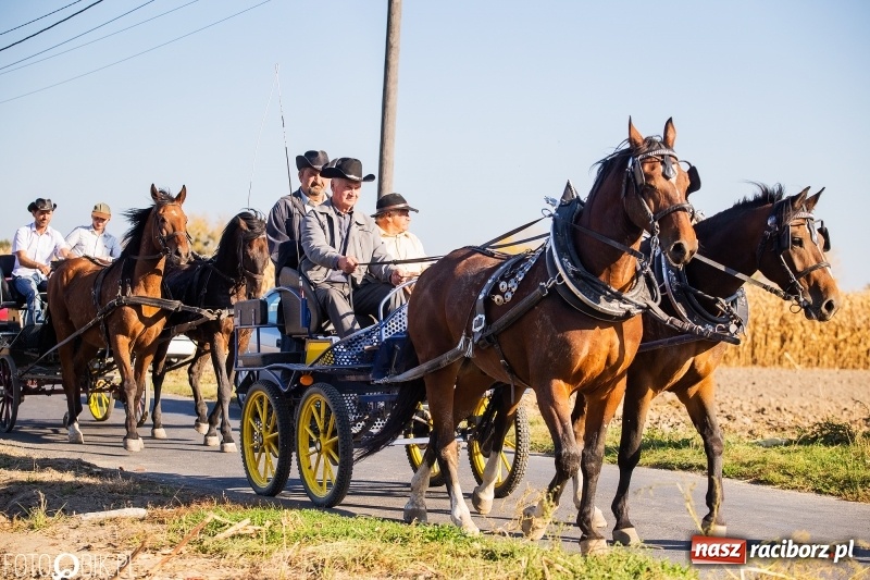Zdjęcie w galerii na portalu naszraciborz.pl: Przez lasy, pola i łąki na pogoń za lisem. Hubertus w Żerdzinach 2018 VIDEO wiadomości z regionu