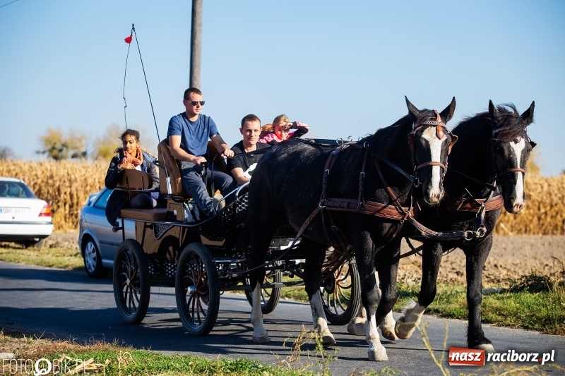 Zdjęcie w galerii na portalu naszraciborz.pl: Przez lasy, pola i łąki na pogoń za lisem. Hubertus w Żerdzinach 2018 VIDEO wiadomości z regionu