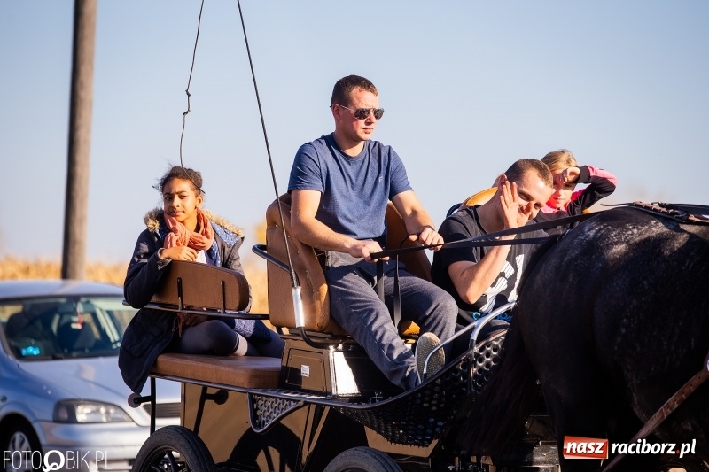 Zdjęcie w galerii na portalu naszraciborz.pl: Przez lasy, pola i łąki na pogoń za lisem. Hubertus w Żerdzinach 2018 VIDEO wiadomości z regionu