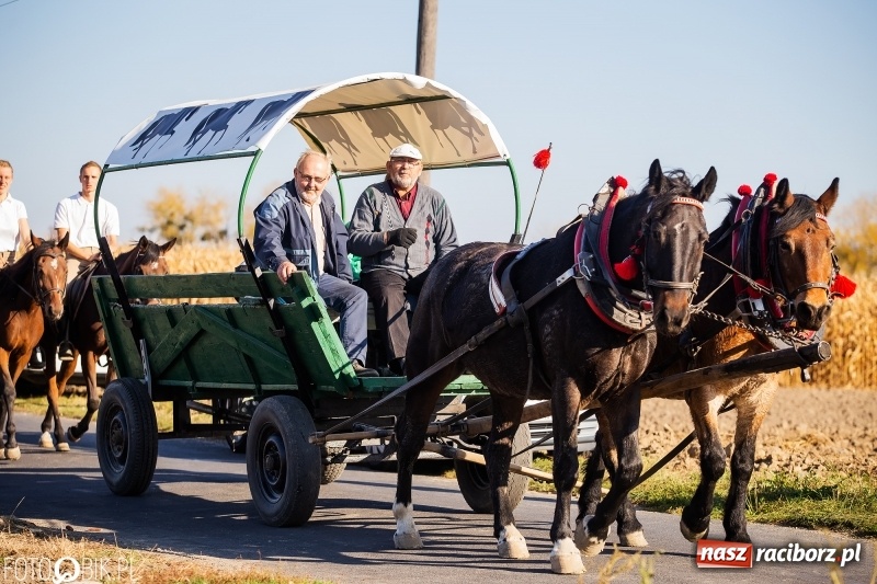 Zdjęcie w galerii na portalu naszraciborz.pl: Przez lasy, pola i łąki na pogoń za lisem. Hubertus w Żerdzinach 2018 VIDEO wiadomości z regionu
