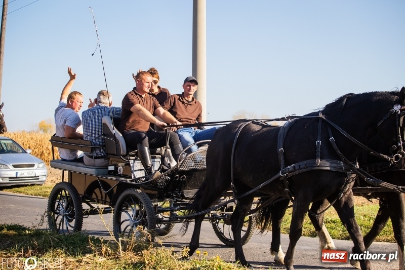Zdjęcie w galerii na portalu naszraciborz.pl: Przez lasy, pola i łąki na pogoń za lisem. Hubertus w Żerdzinach 2018 VIDEO wiadomości z regionu