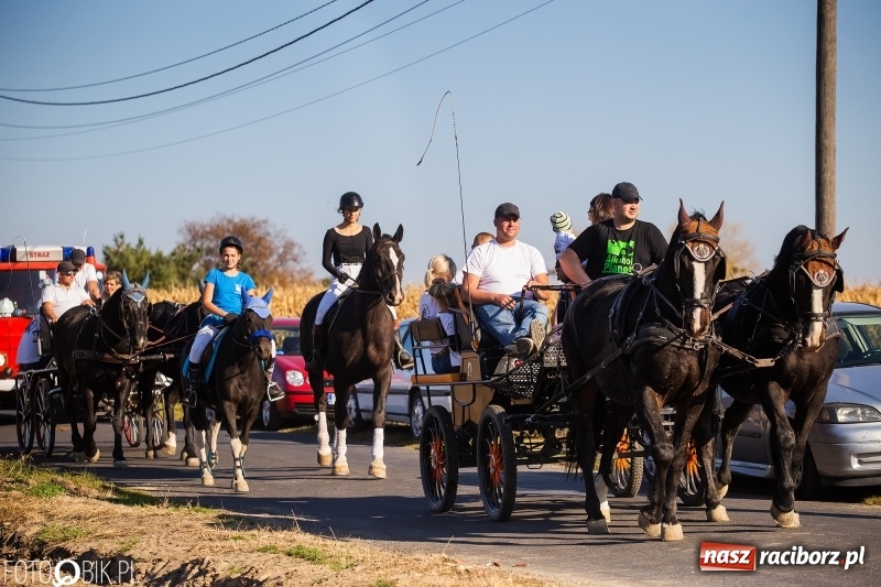Zdjęcie w galerii na portalu naszraciborz.pl: Przez lasy, pola i łąki na pogoń za lisem. Hubertus w Żerdzinach 2018 VIDEO wiadomości z regionu