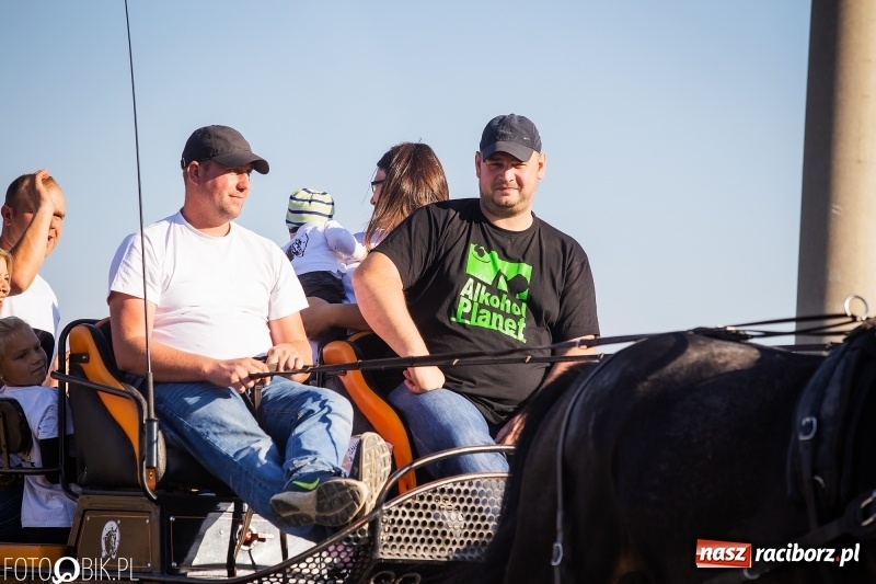 Zdjęcie w galerii na portalu naszraciborz.pl: Przez lasy, pola i łąki na pogoń za lisem. Hubertus w Żerdzinach 2018 VIDEO wiadomości z regionu