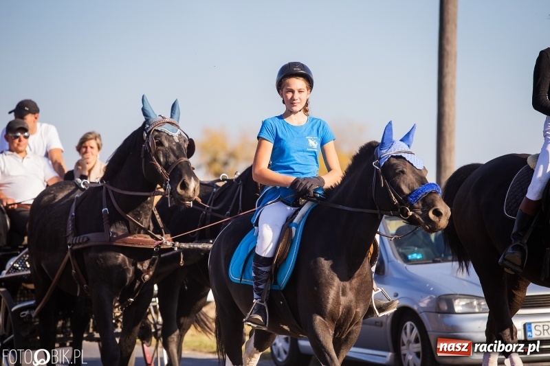 Zdjęcie w galerii na portalu naszraciborz.pl: Przez lasy, pola i łąki na pogoń za lisem. Hubertus w Żerdzinach 2018 VIDEO wiadomości z regionu