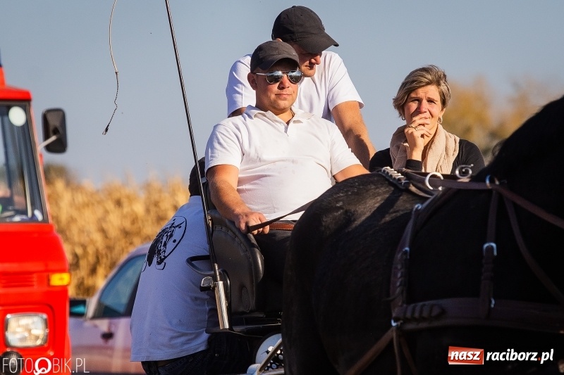 Zdjęcie w galerii na portalu naszraciborz.pl: Przez lasy, pola i łąki na pogoń za lisem. Hubertus w Żerdzinach 2018 VIDEO wiadomości z regionu