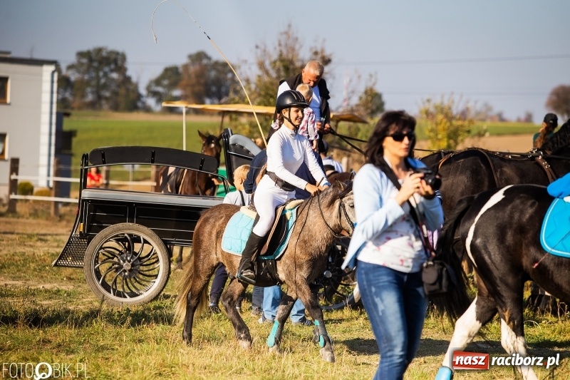 Zdjęcie w galerii na portalu naszraciborz.pl: Przez lasy, pola i łąki na pogoń za lisem. Hubertus w Żerdzinach 2018 VIDEO wiadomości z regionu