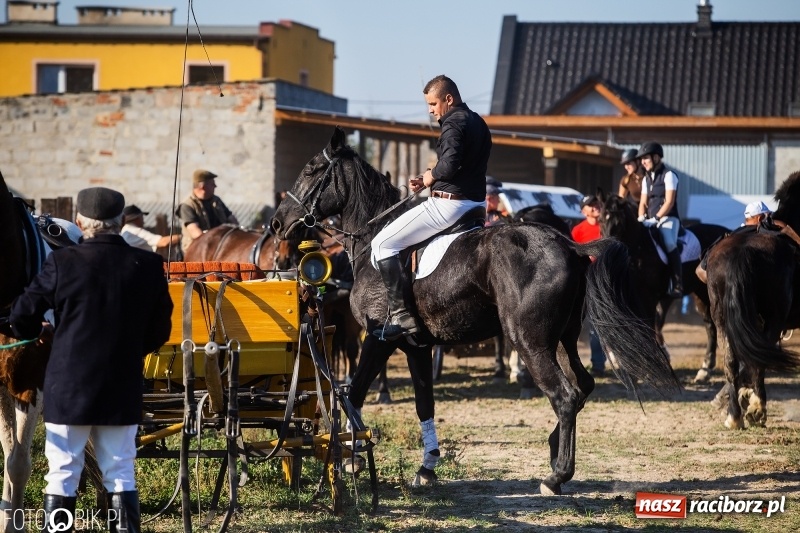 Zdjęcie w galerii na portalu naszraciborz.pl: Przez lasy, pola i łąki na pogoń za lisem. Hubertus w Żerdzinach 2018 VIDEO wiadomości z regionu