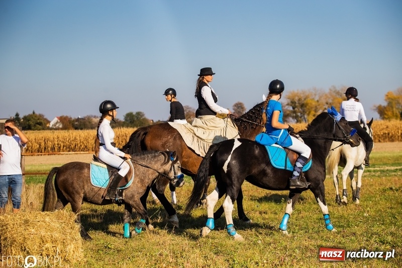 Zdjęcie w galerii na portalu naszraciborz.pl: Przez lasy, pola i łąki na pogoń za lisem. Hubertus w Żerdzinach 2018 VIDEO wiadomości z regionu