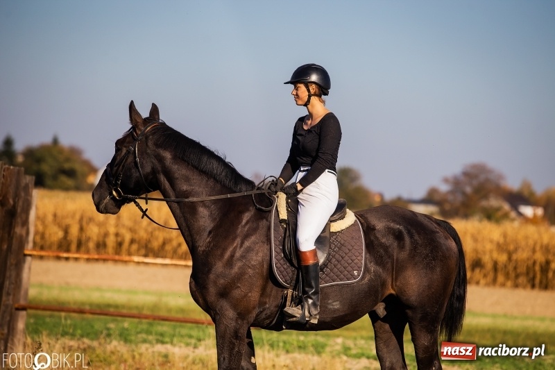 Zdjęcie w galerii na portalu naszraciborz.pl: Przez lasy, pola i łąki na pogoń za lisem. Hubertus w Żerdzinach 2018 VIDEO wiadomości z regionu