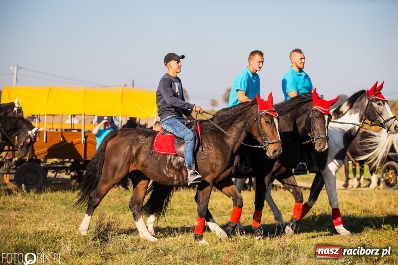 Zdjęcie w galerii na portalu naszraciborz.pl: Przez lasy, pola i łąki na pogoń za lisem. Hubertus w Żerdzinach 2018 VIDEO wiadomości z regionu