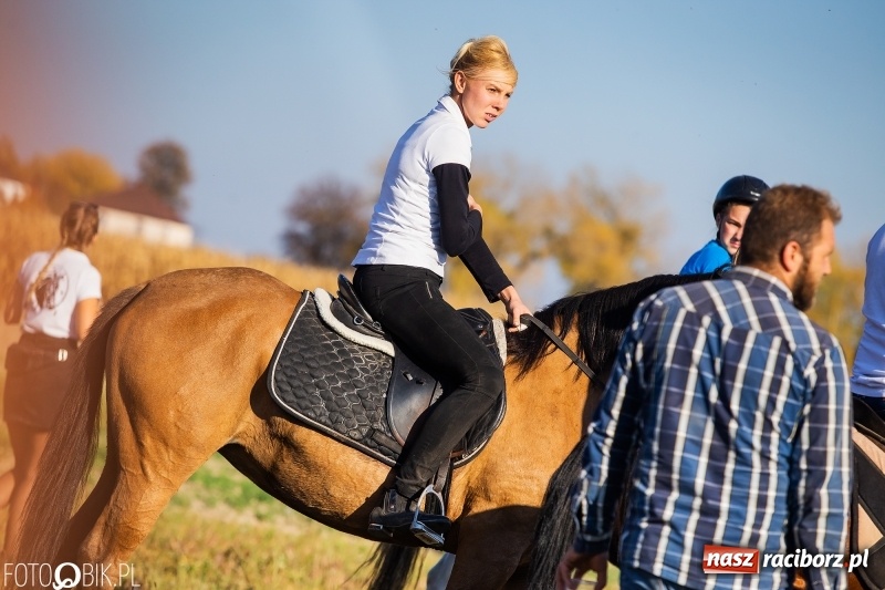 Zdjęcie w galerii na portalu naszraciborz.pl: Przez lasy, pola i łąki na pogoń za lisem. Hubertus w Żerdzinach 2018 VIDEO wiadomości z regionu
