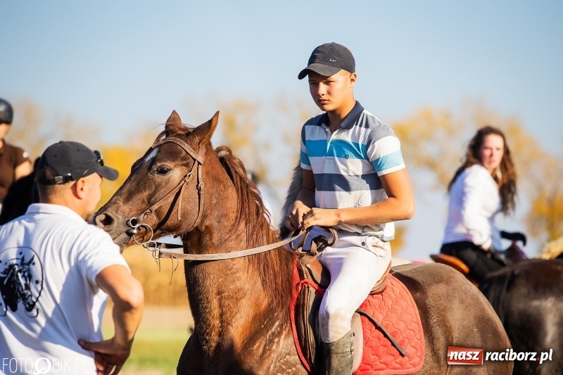 Zdjęcie w galerii na portalu naszraciborz.pl: Przez lasy, pola i łąki na pogoń za lisem. Hubertus w Żerdzinach 2018 VIDEO wiadomości z regionu